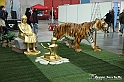 VBS_4520 - Festival dell'Oriente 2022